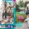Thumbnail of related posts 179